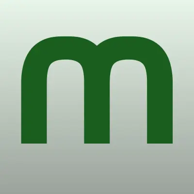 Модерн плюс
