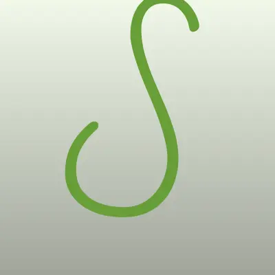 Spirit Auto